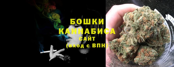 сатива Касимов