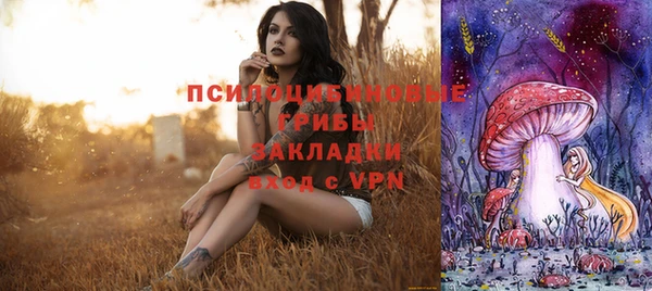 сатива Касимов