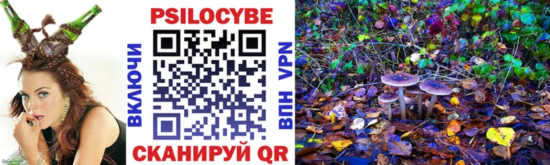 Псилоцибиновые грибы GOLDEN TEACHER  Купить где  Междуреченск 